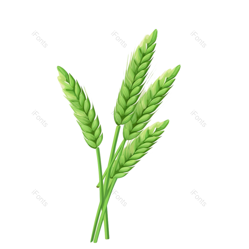 装饰图片,元素元素,小满PNG,麦子免抠素材